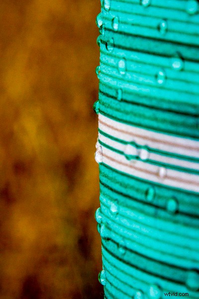 Tamron 16-300mm f/3.5-6.3 Di II VC PZD MACRO Lens Review: Versatile Superzoom Tested