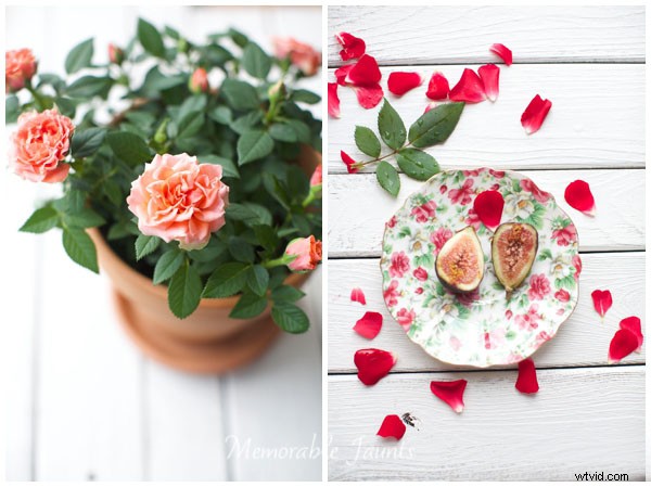 5 Expert Tips for Stunning Indoor Photography with Natural Light