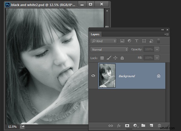 Master Stunning Black & White Photo Conversions in Photoshop