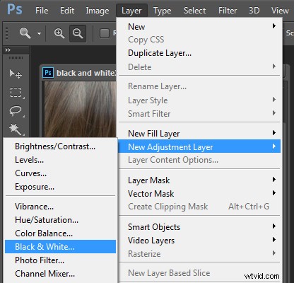 Master Stunning Black & White Photo Conversions in Photoshop