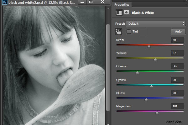 Master Stunning Black & White Photo Conversions in Photoshop