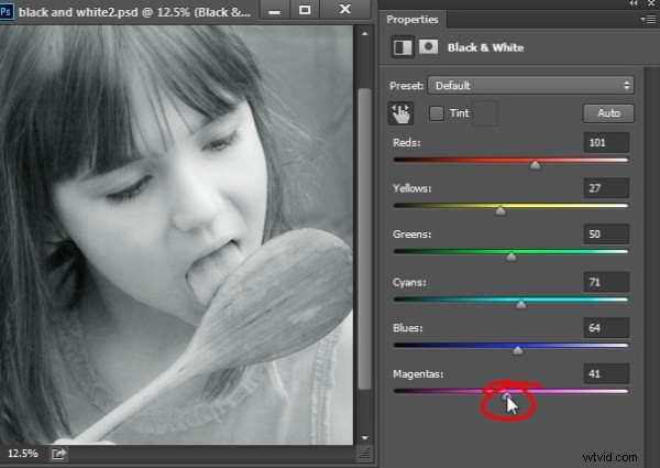 Master Stunning Black & White Photo Conversions in Photoshop