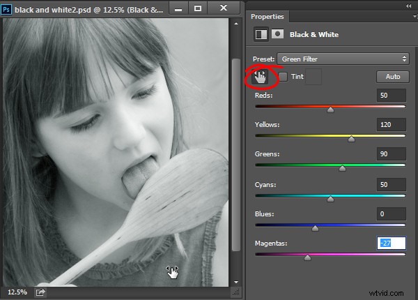 Master Stunning Black & White Photo Conversions in Photoshop
