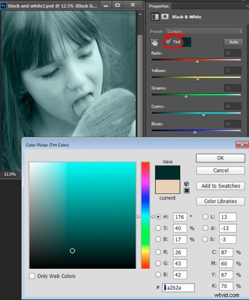 Master Stunning Black & White Photo Conversions in Photoshop