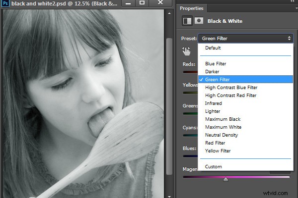 Master Stunning Black & White Photo Conversions in Photoshop