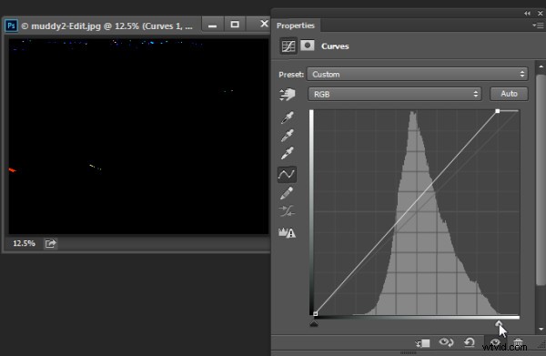 Master Quick & Easy Curves Adjustments in Photoshop: Beginner s Guide
