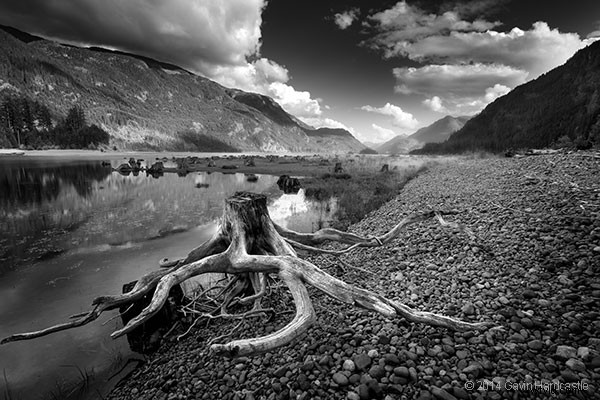 6 Compelling Reasons to Overcome Post-Processing Anxiety and Embrace Photo Editing