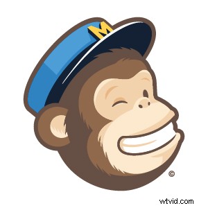 Grow Your Photography Business: Proven Email Newsletter Strategies