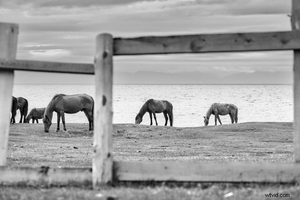 Expert Review: Macphun Tonality - Powerful Black & White Photo Editor for Mac