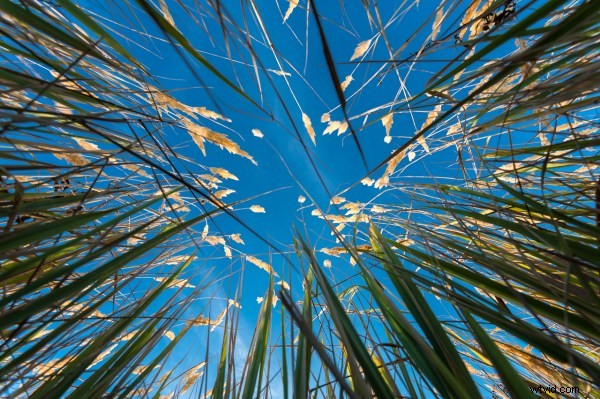 15 Inspiring Photography Project Ideas to Ignite Your Creativity