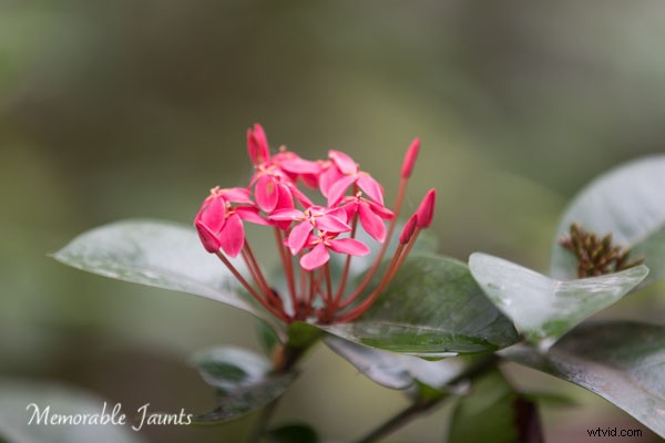 Effortless Post-Processing Tips for Minimalist Photographers