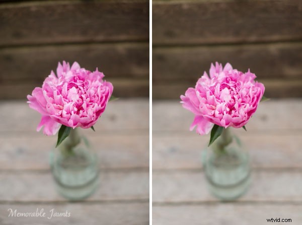 Effortless Post-Processing Tips for Minimalist Photographers