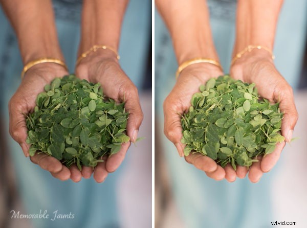 Effortless Post-Processing Tips for Minimalist Photographers