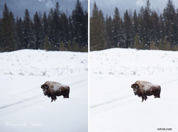 Effortless Post-Processing Tips for Minimalist Photographers