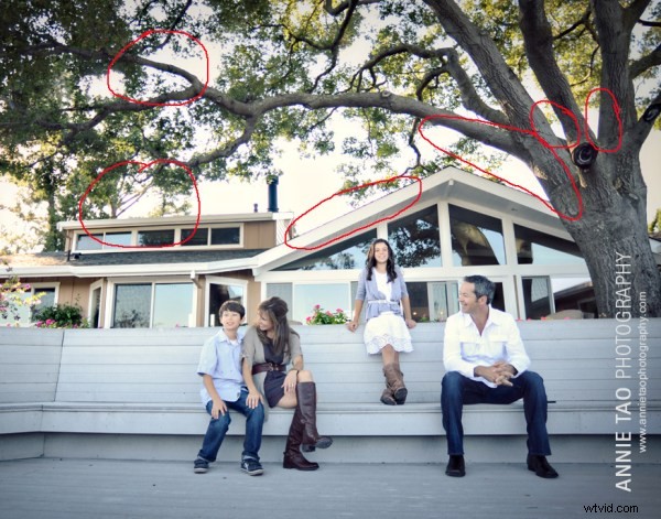 Fix Purple Fringing in Photoshop: Step-by-Step Expert Guide