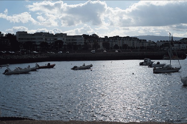 Master the Adjustment Brush in Adobe Camera Raw: Pro Dodge & Burn Techniques