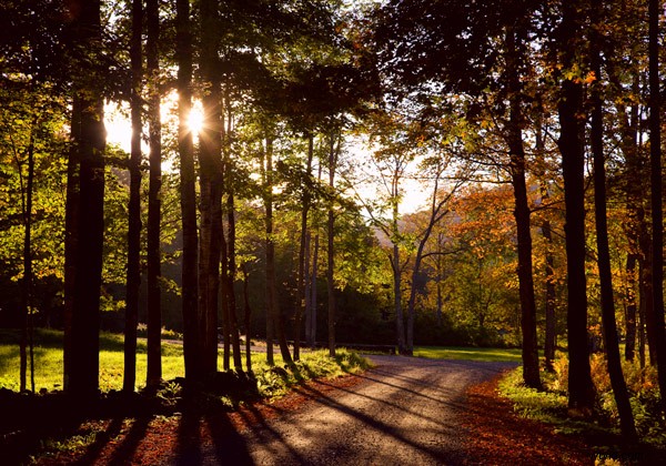Mastering the Natural Light Cycle: Essential Guide for Landscape Photographers