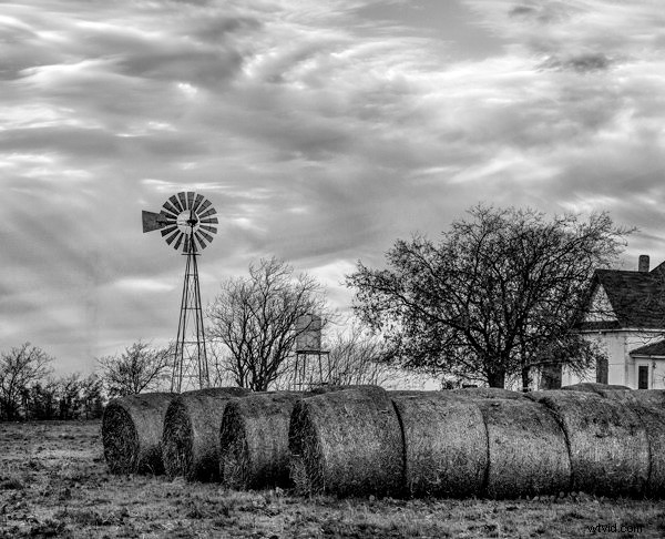 Mastering the Natural Light Cycle: Essential Guide for Landscape Photographers
