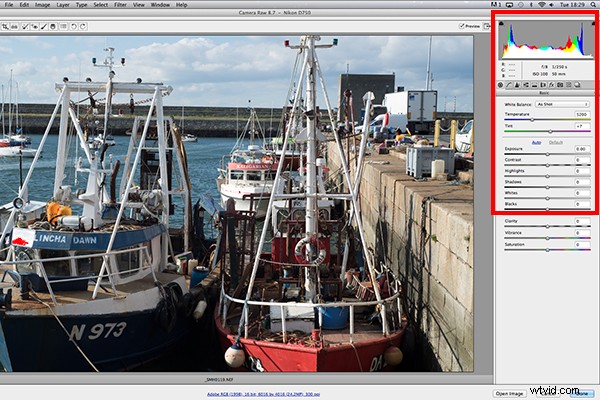 RAW Post-Processing Mastery: Adobe Camera Raw vs. Top Free Software Alternatives