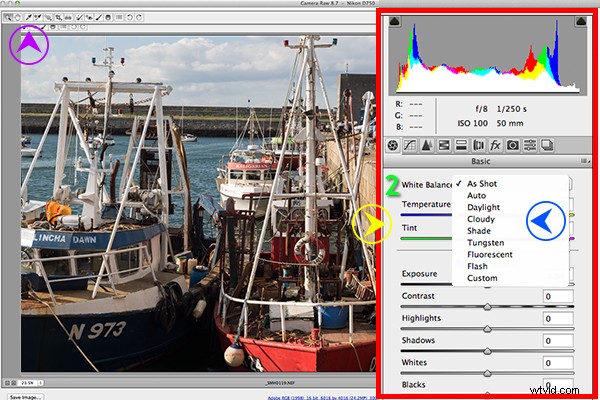 RAW Post-Processing Mastery: Adobe Camera Raw vs. Top Free Software Alternatives