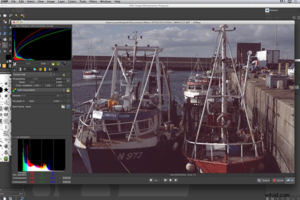 RAW Post-Processing Mastery: Adobe Camera Raw vs. Top Free Software Alternatives
