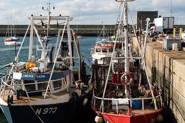 RAW Post-Processing Mastery: Adobe Camera Raw vs. Top Free Software Alternatives