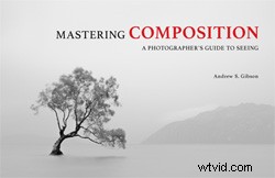 6 Expert Tips to Master Visual Weight for Stunning Photo Compositions