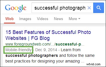 Future-Proof Your Photography Website: Key Trends and Adaptation Strategies (Part 2)
