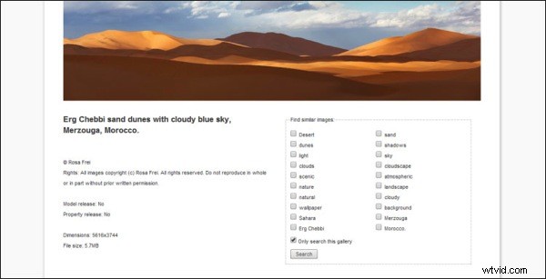 Future-Proof Your Photography Website: Key Trends and Adaptation Strategies (Part 2)