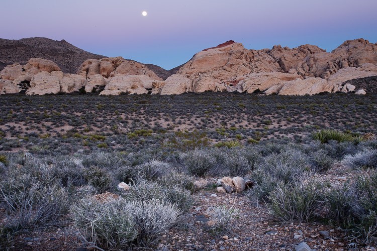 7 Common Landscape Photography Mistakes Ruining Your Shots (And How to Fix Them)