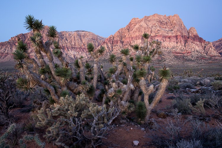 7 Common Landscape Photography Mistakes Ruining Your Shots (And How to Fix Them)