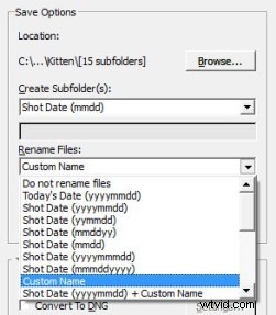 How to Safely Transfer Photos from Memory Card to Your Computer