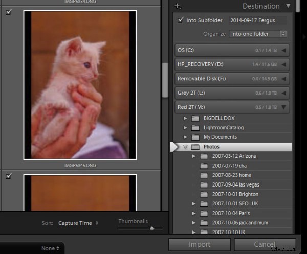 How to Safely Transfer Photos from Memory Card to Your Computer