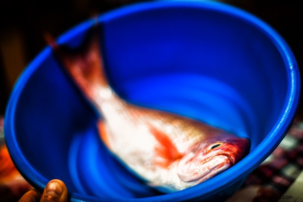 3 Compelling Reasons It s Time to Upgrade Your Camera Gear