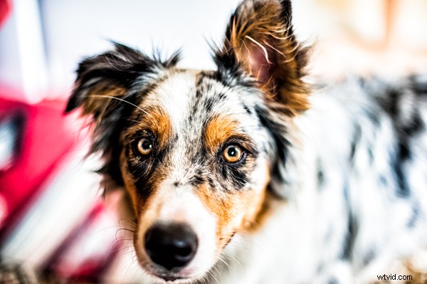 3 Compelling Reasons It s Time to Upgrade Your Camera Gear