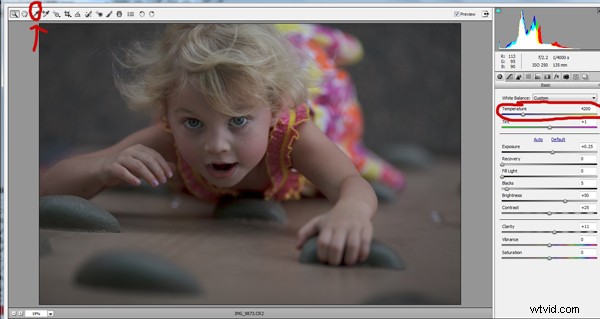3 Expert Tips for Perfect Skin Tones in Adobe Camera Raw