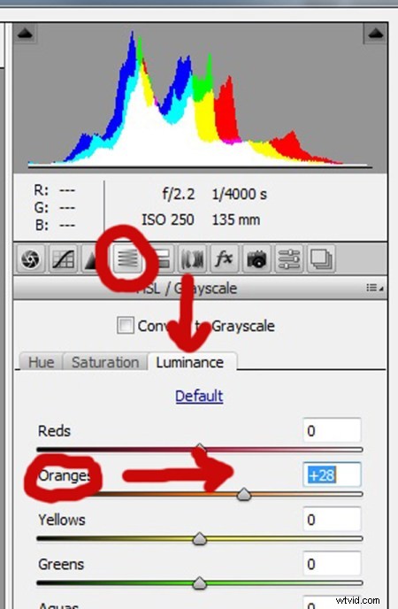 3 Expert Tips for Perfect Skin Tones in Adobe Camera Raw