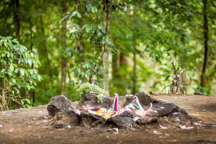 7 Expert Tips to Master Photography with Just a Prime Lens