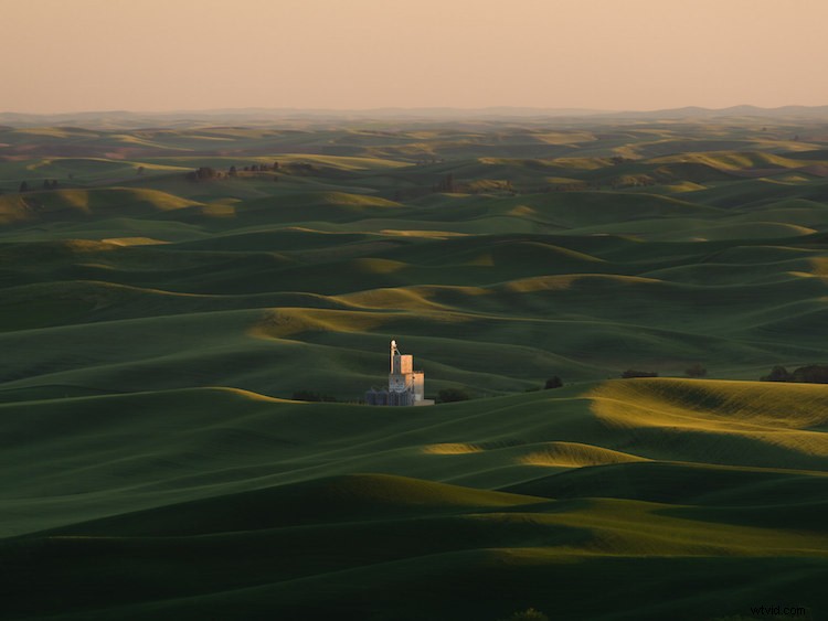 Master Summer Photography: 5 Expert Tips to Overcome Challenges