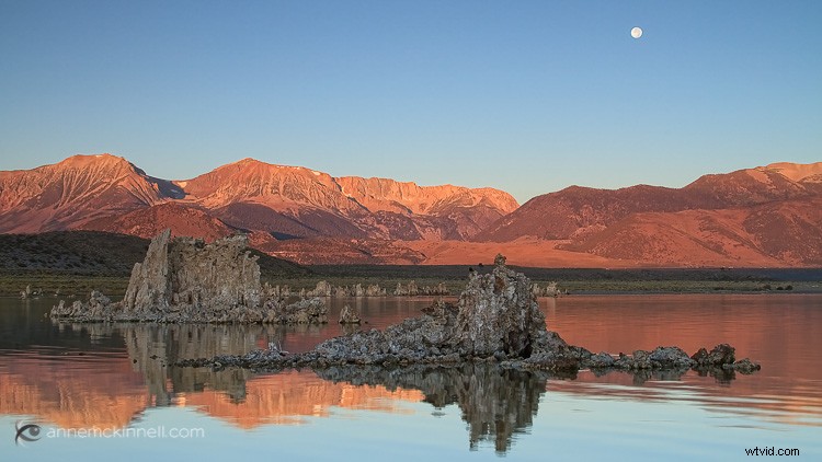 Master Golden Hour Photography: 5 Pro Tips for Stunning Shots