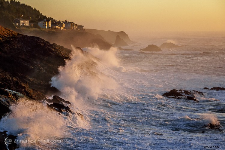 Master Golden Hour Photography: 5 Pro Tips for Stunning Shots