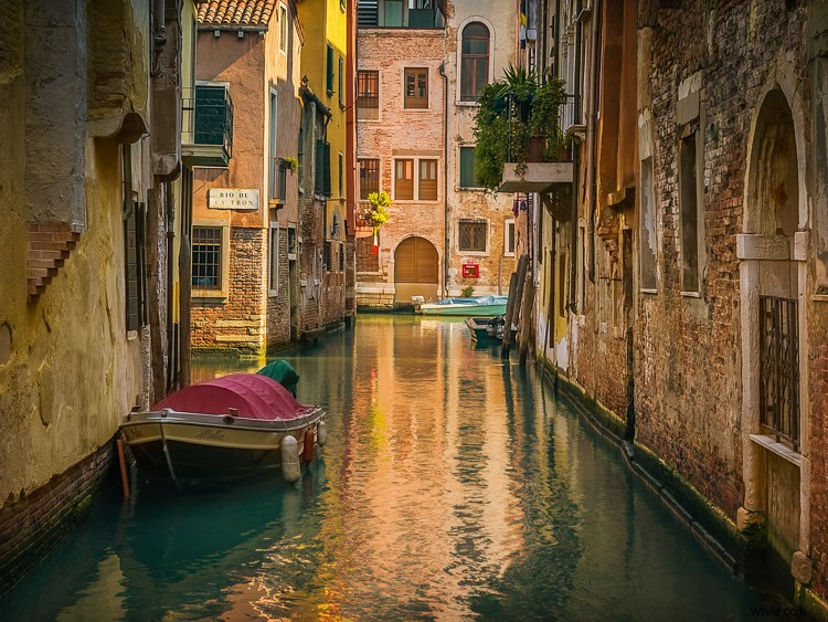 How Switching from DSLR to Mirrorless Revolutionized My Photo Editing Workflow