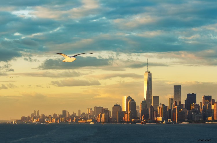 How Switching from DSLR to Mirrorless Revolutionized My Photo Editing Workflow