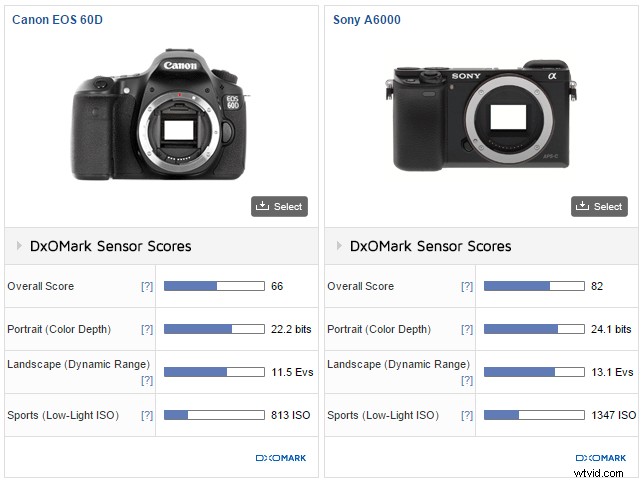 How Switching from DSLR to Mirrorless Revolutionized My Photo Editing Workflow