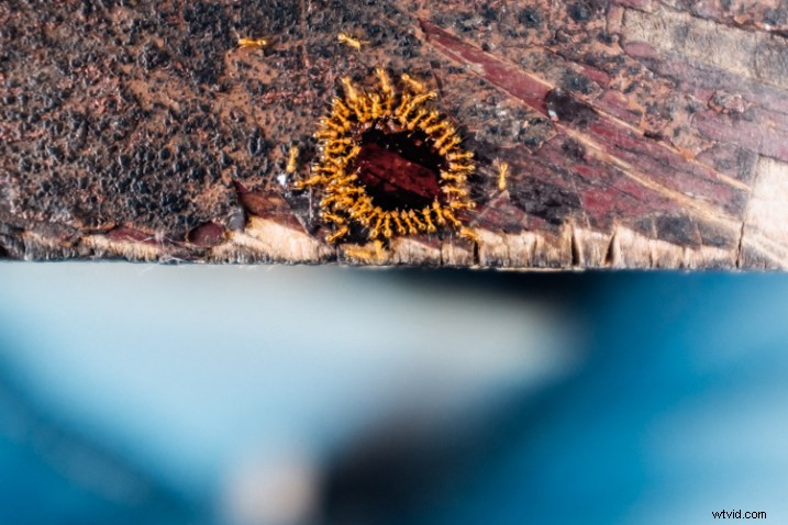 Fujifilm X100T Hands-On Review: Why I Finally Bought This Mirrorless Gem