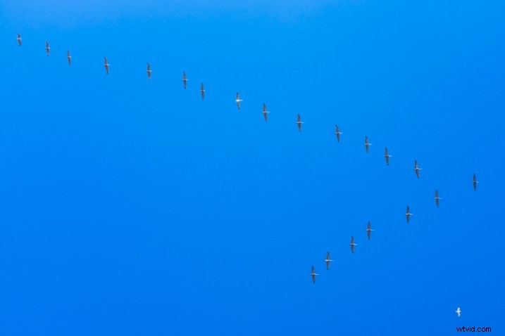 Fujifilm X100T Hands-On Review: Why I Finally Bought This Mirrorless Gem