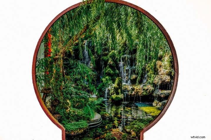 Master Framing Techniques for Stunning Photographic Compositions