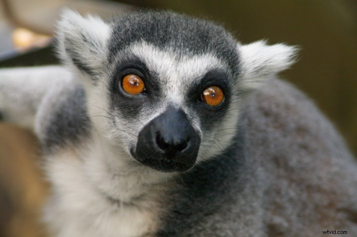 Why the Tamron 28-200mm Remains My Favorite Lens: Timeless Versatility for Street and Travel Photography