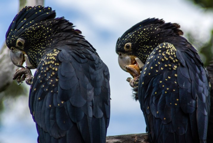 Why the Tamron 28-200mm Remains My Favorite Lens: Timeless Versatility for Street and Travel Photography