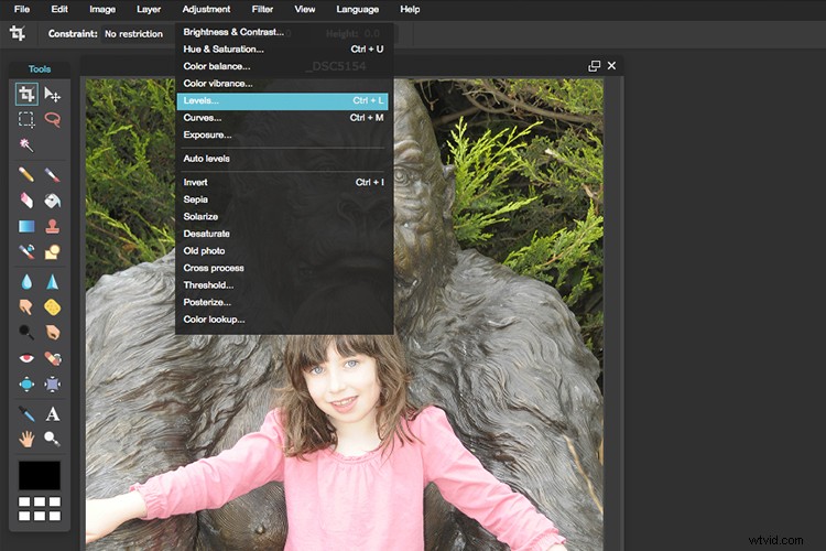 Expert Tips: Choosing the Best Free Photo Editor for Post-Processing